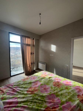 Apartment in Tbilisi